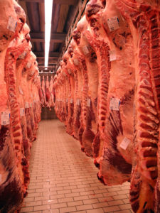 Carcasses de viande bovine